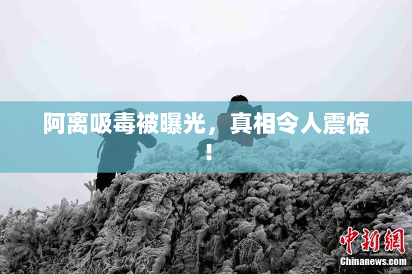 阿离吸毒被曝光，真相令人震惊！