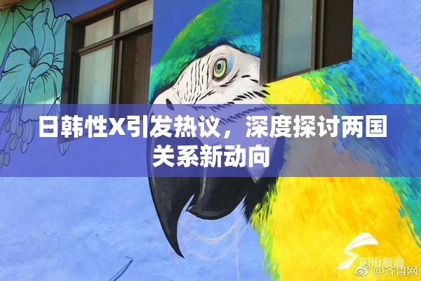 日韩性X引发热议，深度探讨两国关系新动向