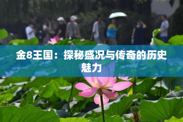 金8王国：探秘盛况与传奇的历史魅力