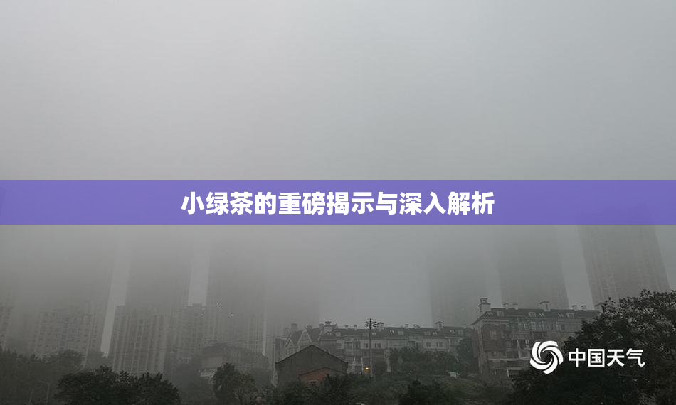 小绿茶的重磅揭示与深入解析