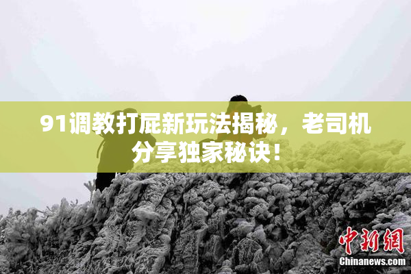 91调教打屁新玩法揭秘，老司机分享独家秘诀！
