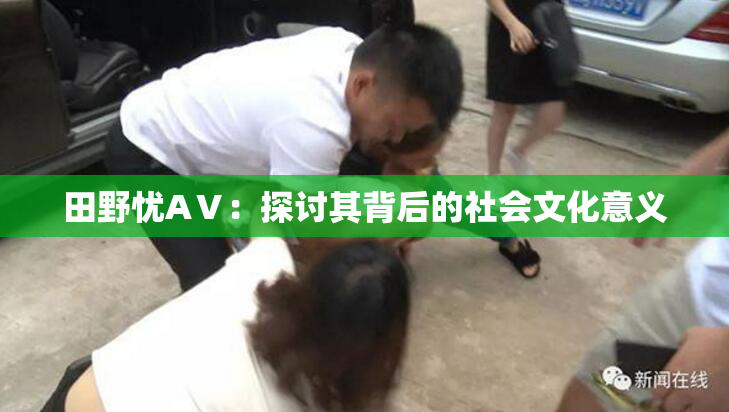 田野忧AⅤ：探讨其背后的社会文化意义