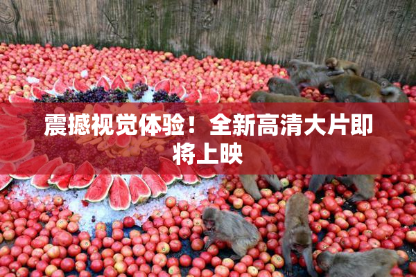 震撼视觉体验！全新高清大片即将上映