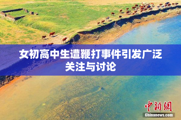 女初高中生遭鞭打事件引发广泛关注与讨论