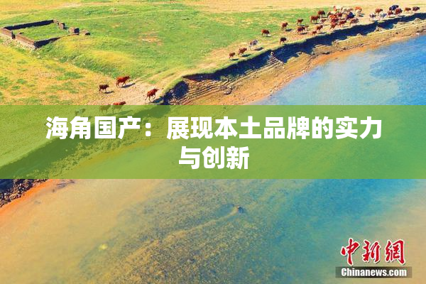 海角国产：展现本土品牌的实力与创新