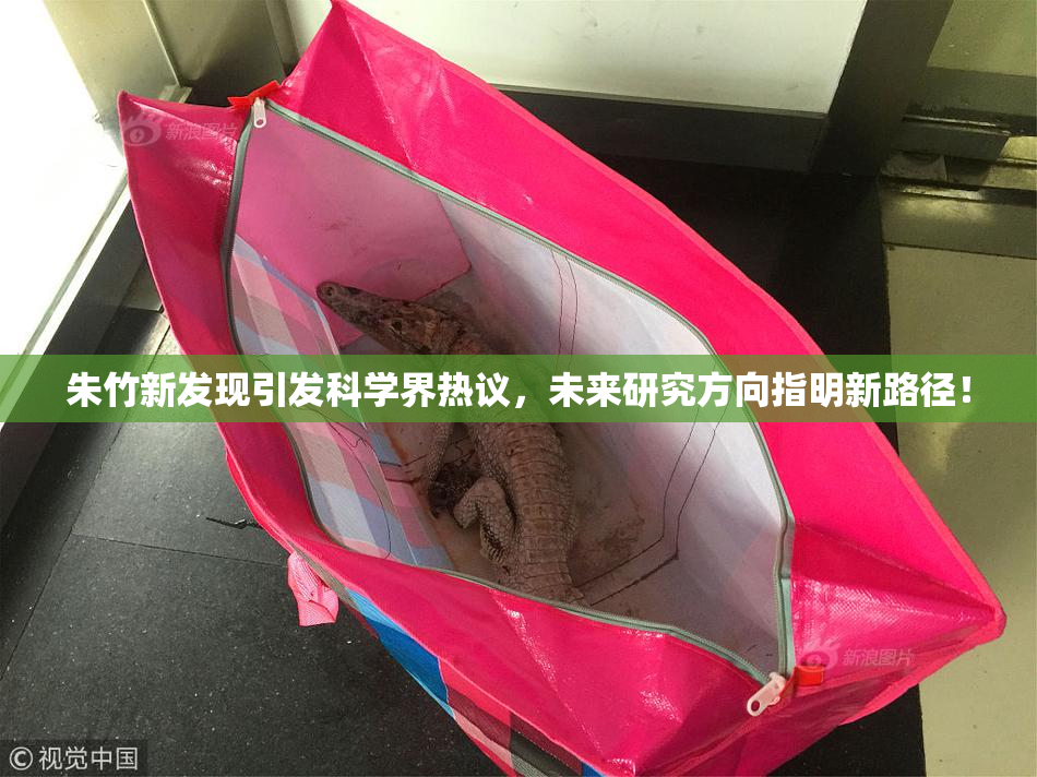 朱竹新发现引发科学界热议，未来研究方向指明新路径！