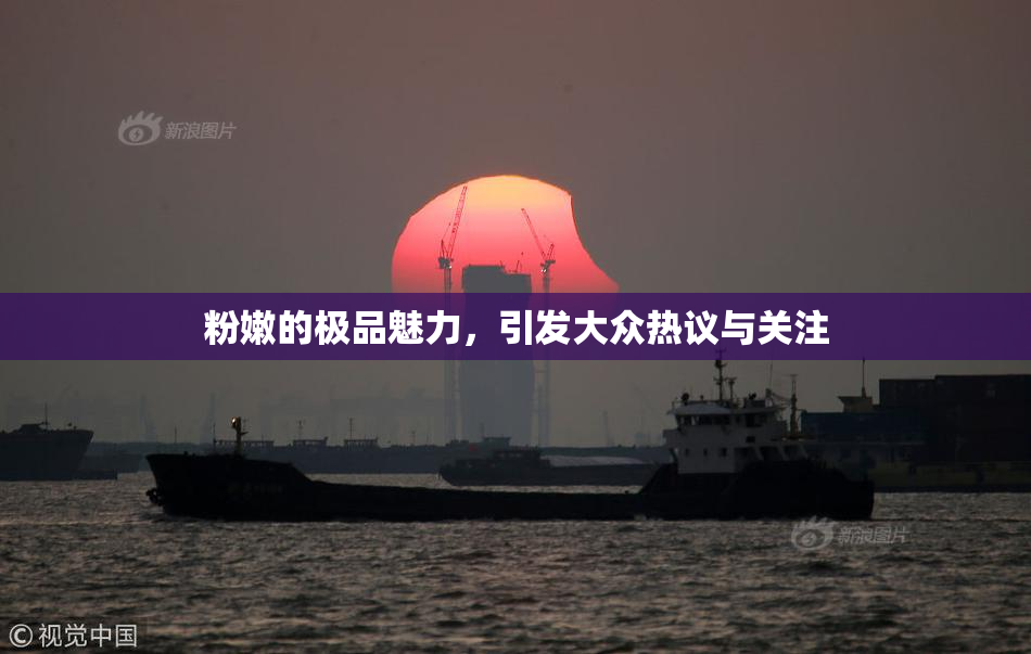 粉嫩的极品魅力，引发大众热议与关注