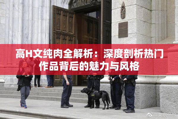 高H文纯肉全解析：深度剖析热门作品背后的魅力与风格