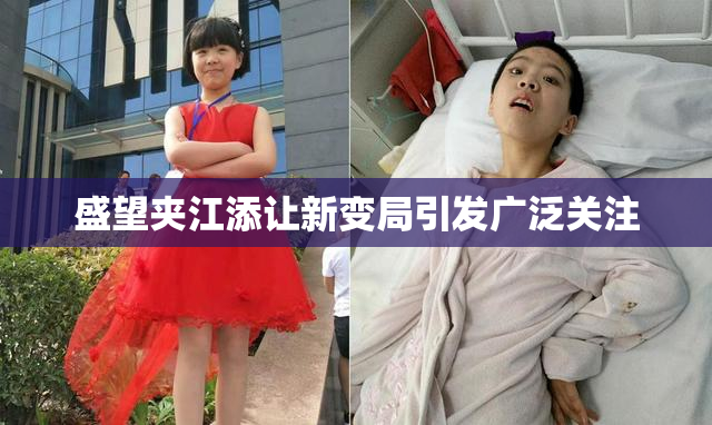 盛望夹江添让新变局引发广泛关注
