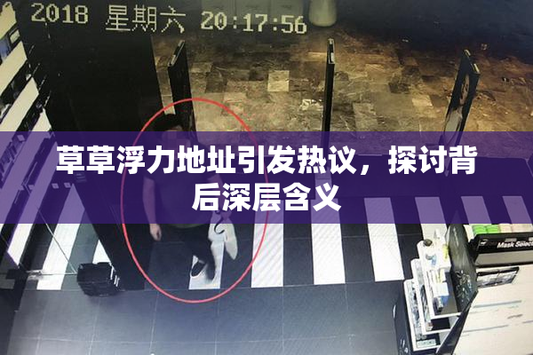 草草浮力地址引发热议，探讨背后深层含义