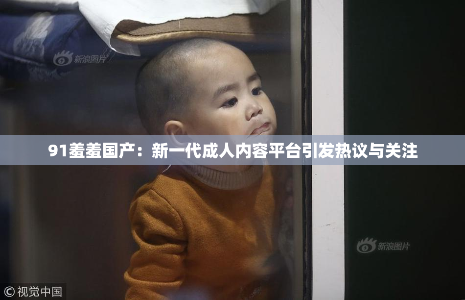 91羞羞国产：新一代成人内容平台引发热议与关注