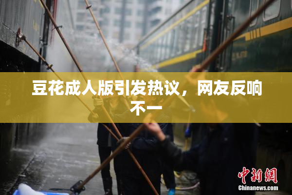 豆花成人版引发热议，网友反响不一