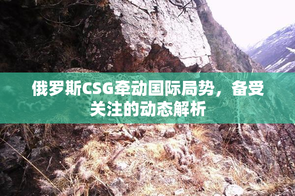 俄罗斯CSG牵动国际局势，备受关注的动态解析