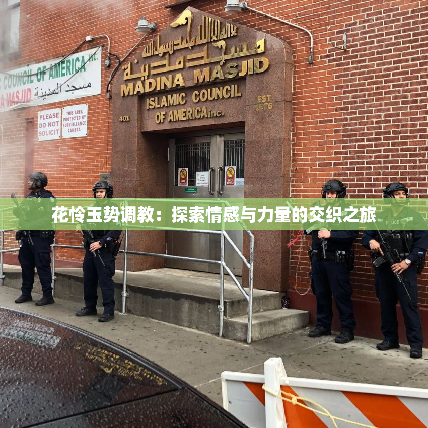 花怜玉势调教：探索情感与力量的交织之旅