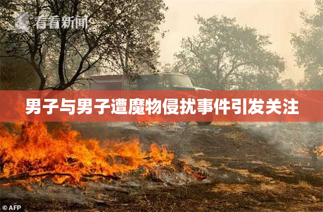 男子与男子遭魔物侵扰事件引发关注