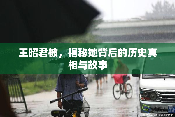 王昭君被，揭秘她背后的历史真相与故事