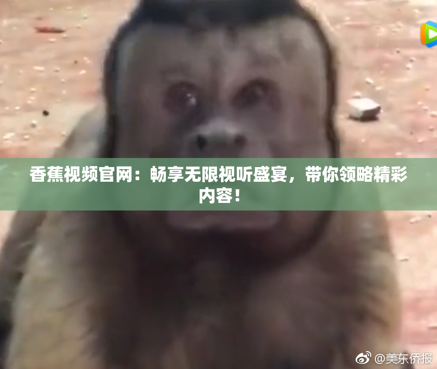 香蕉视频官网：畅享无限视听盛宴，带你领略精彩内容！