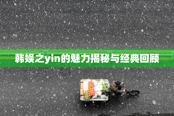 韩娱之yin的魅力揭秘与经典回顾