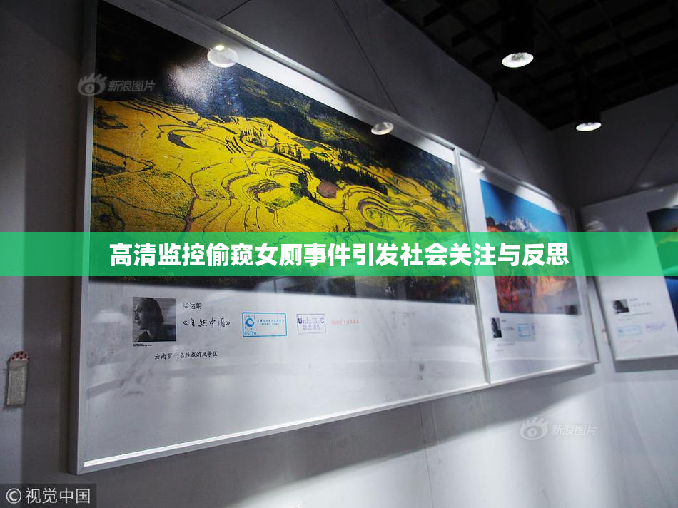 高清监控偷窥女厕事件引发社会关注与反思