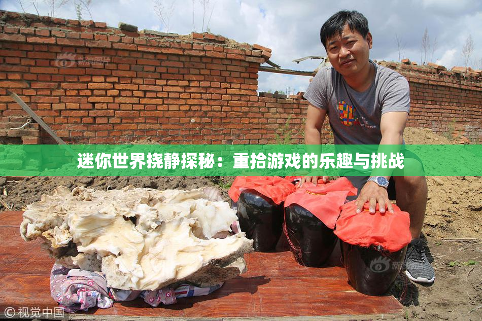 迷你世界挠静探秘：重拾游戏的乐趣与挑战