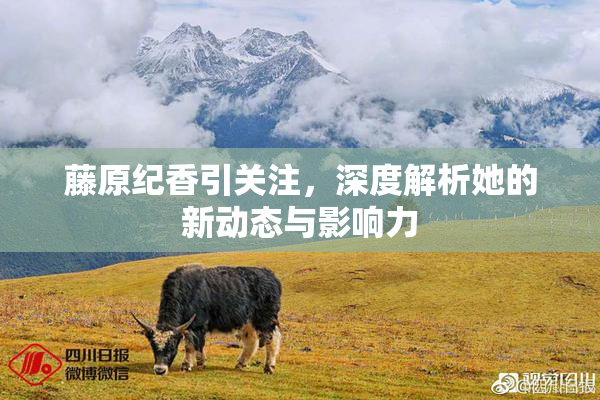 藤原纪香引关注，深度解析她的新动态与影响力