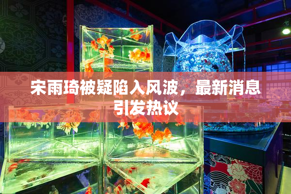 宋雨琦被疑陷入风波，最新消息引发热议
