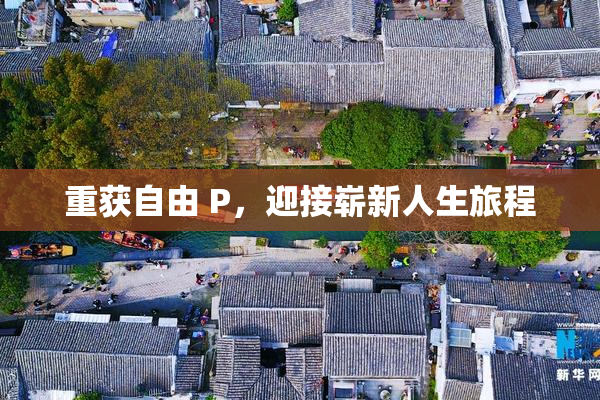 重获自由 P，迎接崭新人生旅程
