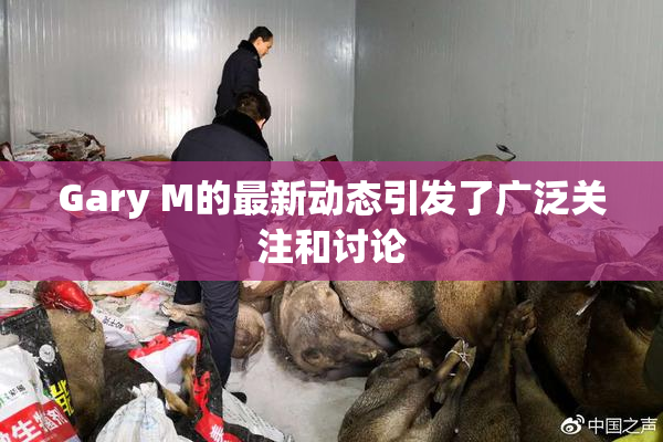 Gary M的最新动态引发了广泛关注和讨论