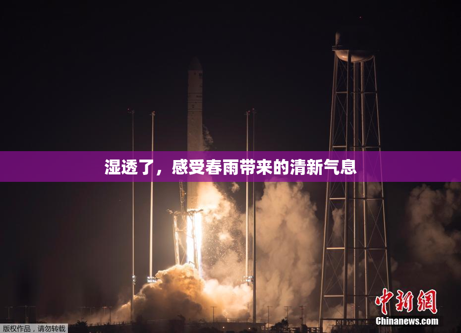 湿透了，感受春雨带来的清新气息