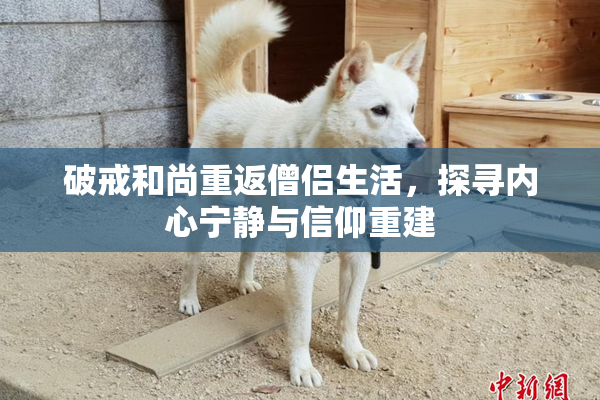 破戒和尚重返僧侣生活，探寻内心宁静与信仰重建