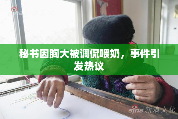 秘书因胸大被调侃喂奶，事件引发热议