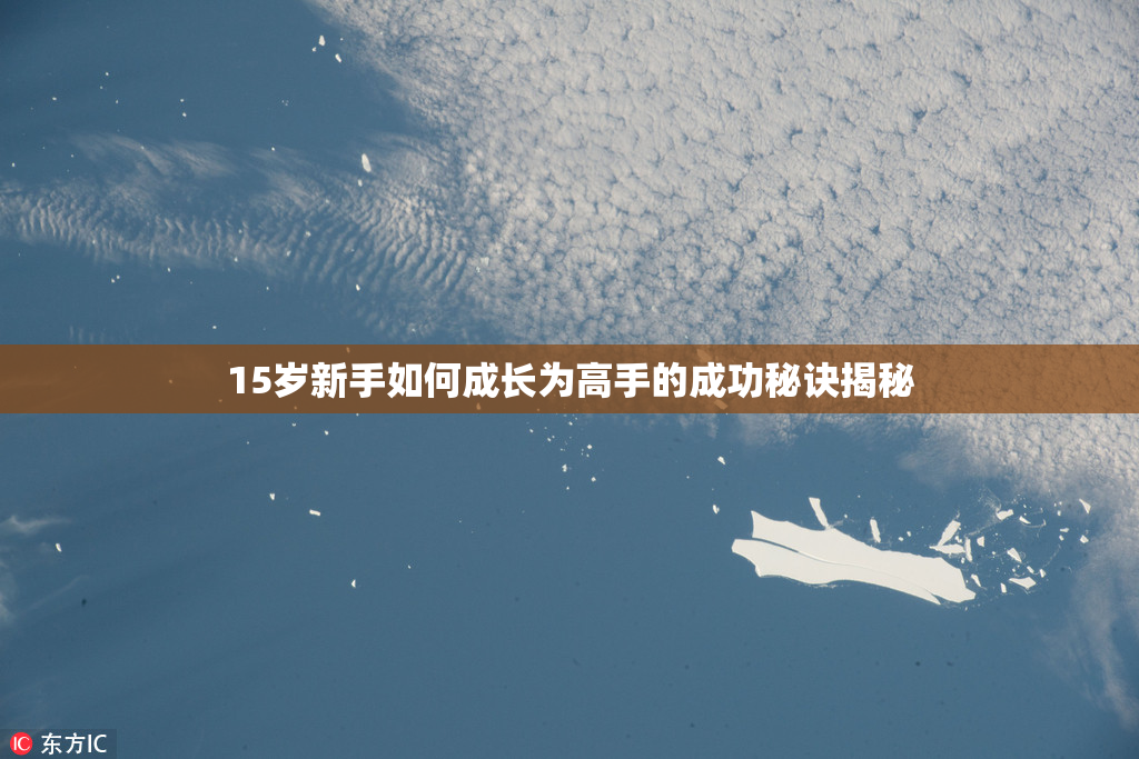 15岁新手如何成长为高手的成功秘诀揭秘