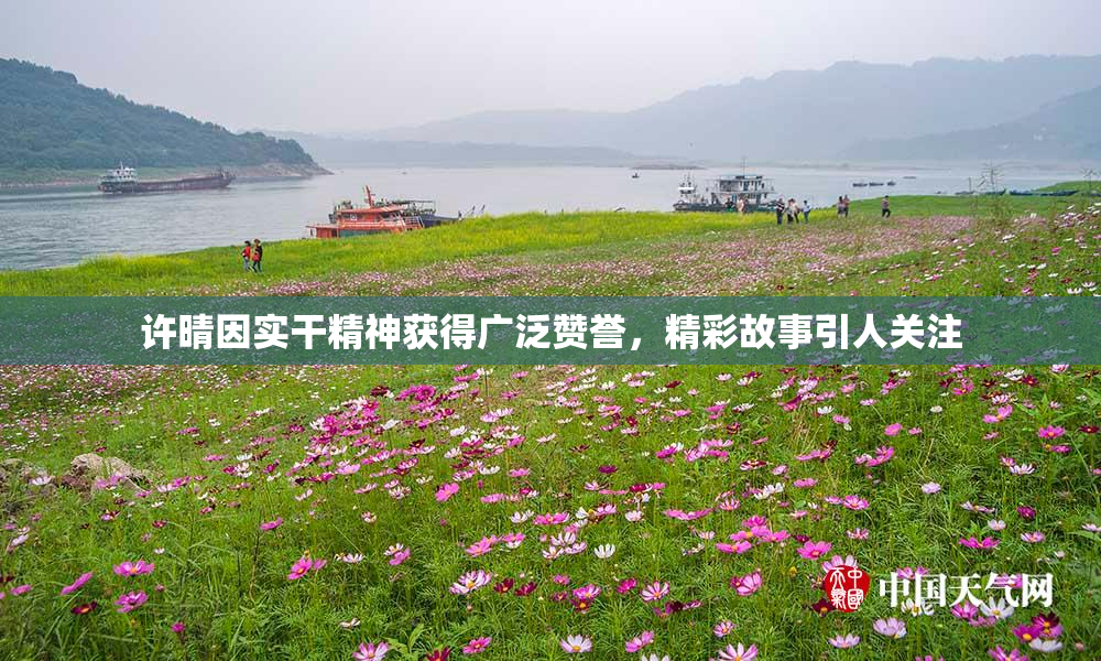 许晴因实干精神获得广泛赞誉，精彩故事引人关注
