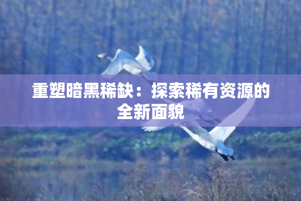 重塑暗黑稀缺：探索稀有资源的全新面貌