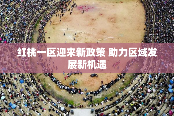 红桃一区迎来新政策 助力区域发展新机遇