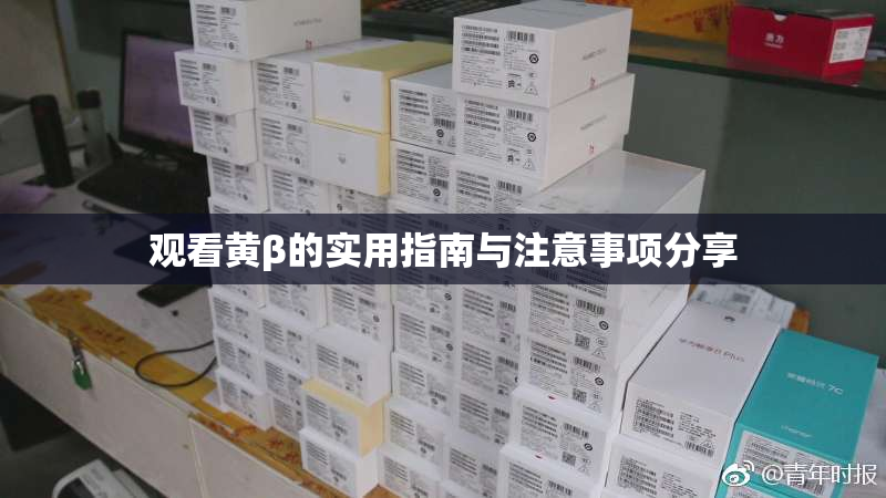 观看黄β的实用指南与注意事项分享