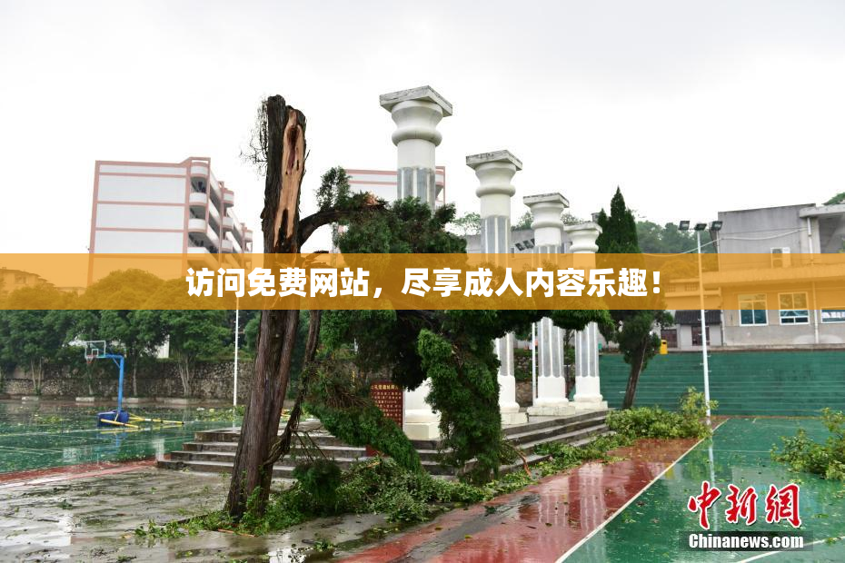 访问免费网站，尽享成人内容乐趣！