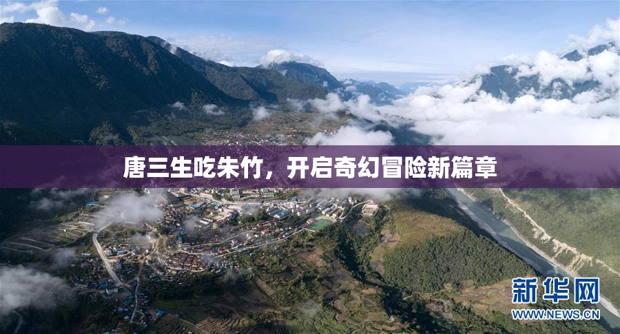 唐三生吃朱竹，开启奇幻冒险新篇章