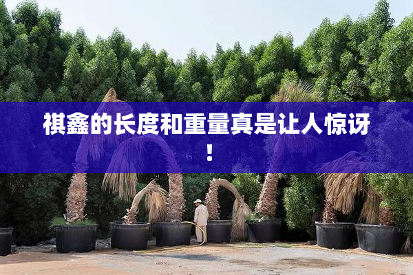 祺鑫的长度和重量真是让人惊讶！