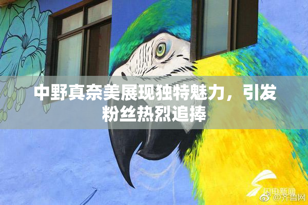 中野真奈美展现独特魅力，引发粉丝热烈追捧