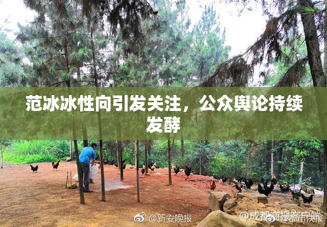 范冰冰性向引发关注，公众舆论持续发酵