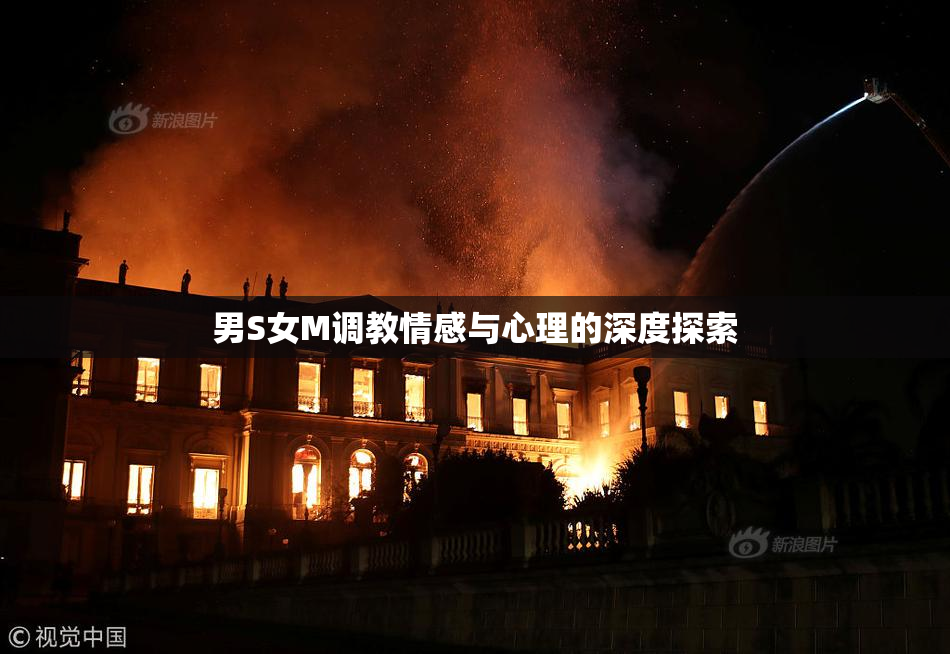 男S女M调教情感与心理的深度探索