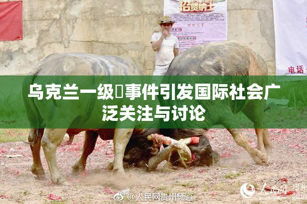 乌克兰一级婬事件引发国际社会广泛关注与讨论