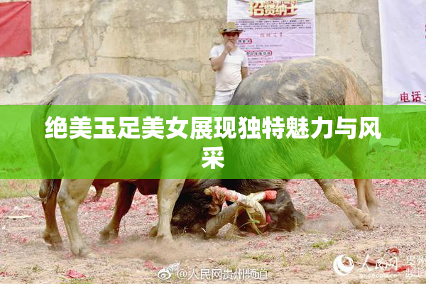 绝美玉足美女展现独特魅力与风采