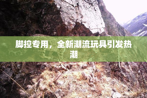 脚控专用，全新潮流玩具引发热潮