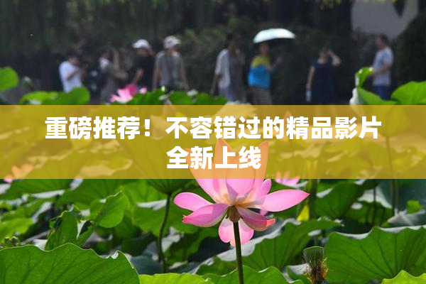 重磅推荐！不容错过的精品影片全新上线