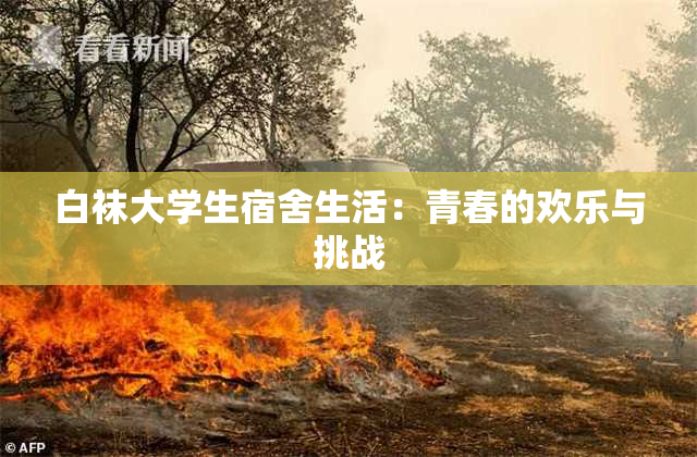 白袜大学生宿舍生活：青春的欢乐与挑战