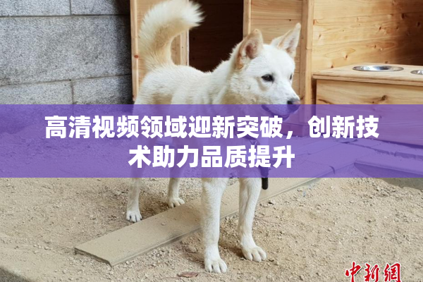高清视频领域迎新突破，创新技术助力品质提升