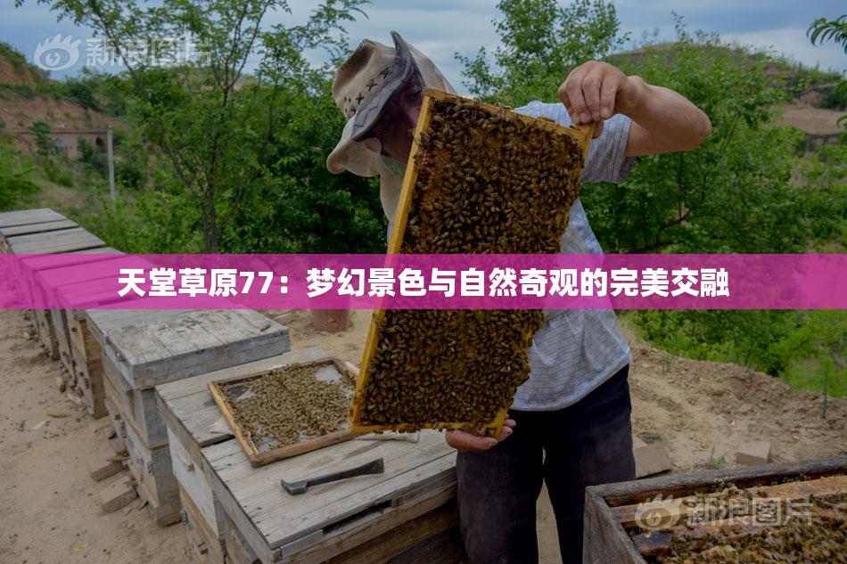 天堂草原77：梦幻景色与自然奇观的完美交融