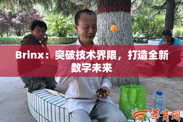 Brinx：突破技术界限，打造全新数字未来